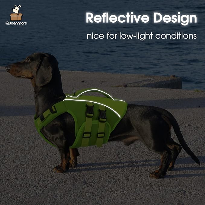 Queenmore XS Dog Life Jacket,Reflective Small Dog Life Vest for Swimming Boating,Adjustable Pet Life Vest for Extra Small Dogs with High Buoyancy,Safety Dog Swimming Vest with Handle(Green,XS)