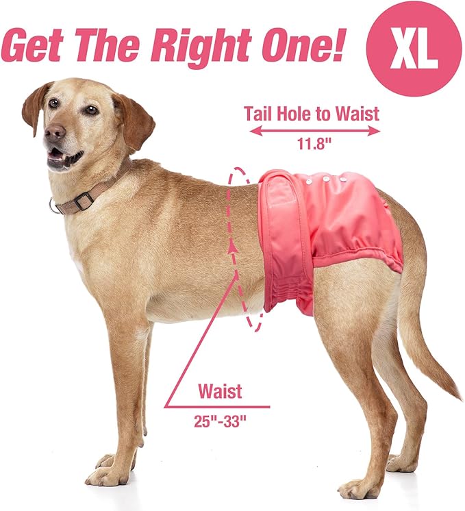 Pet Soft Washable Female Diapers (3 Pack) Female Dog Diapers, Comfort Reusable Doggy Diaper for Girl Dog in Period Heat (Sprightly, XL)