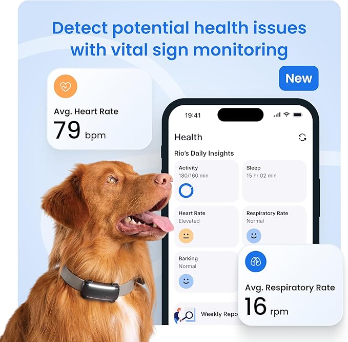 Tractive Smart Dog GPS Tracker | Live Pet Tracker with Virtual Fence | Vital Signs Monitoring of Heart & Respiratory Rate | Bark Monitoring | Dog Collar Attachment (Bundle of 2, Black & Mint)