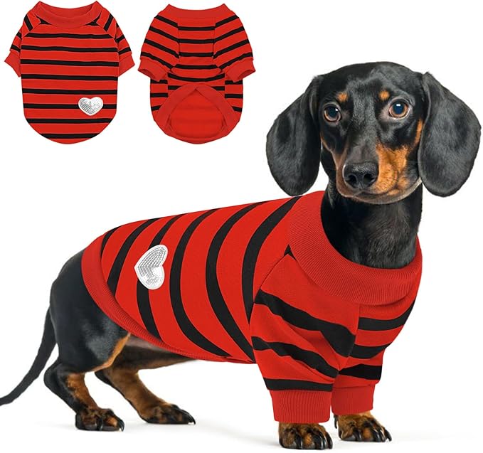 Queenmore Small Dog Shirt,Soft Breathable Dog Shirt for Dogs Cats Boy Girl,Pet Clothes for All Season,Breathable Lightweight Pet Tshirt for Frenchie, Dachshund, Yorkie