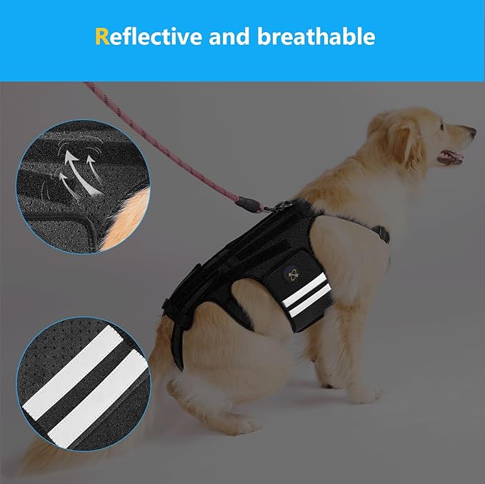 Coodeo Dog Back Brace for Dogs Arthritis, Pet Back Bracer for IVDD, Back Protector Helps Pain Relief, Surgical Recovery and Rehabilitation, Dogs Back Disease Prevention. (Black,Small)