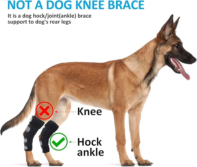 Dog Leg Brace for Back Legs, Canine Hind Hock Brace, Joint Compression Warps Support for Rear Leg with Injury Sprain, Wound Care for Loss of Stability from Arthritis Torn ACL (1 Pair)