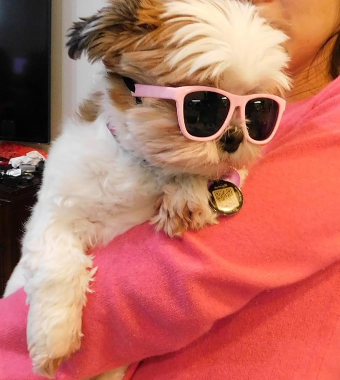 G014 Dog Pet 80s Sunglasses Goggles for Small Dogs up to 15lbs (Pink)