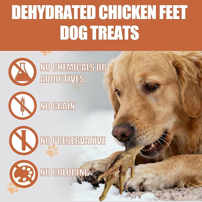 Dehydrated Chicken Feet Dog Chews - High Protein All Natural Single Ingredient Dog Treats Nail-Free No Additives Healthy Dog Snacks