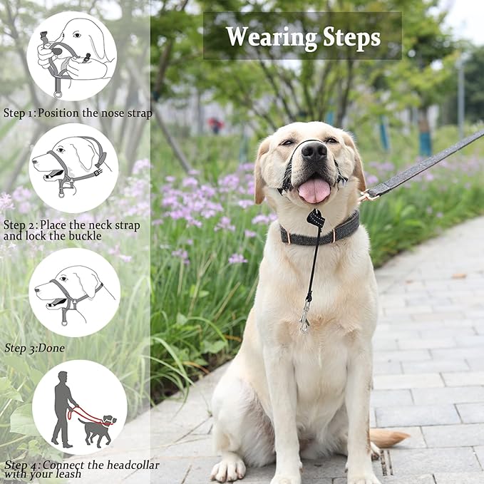 BARKLESS Dog Head Collar, No Pull Head Halter with Soft Padding, Reflective Soft Padded Snout Harness for Medium Dogs, Beagle