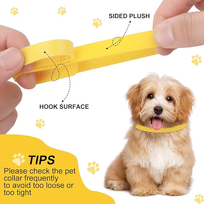 Harloon 47 Pcs Newborn Puppy Collar Health Record Charts Kit Soft Nylon Whelping Puppy Collars Identification Newborn Pets for Pets Pups Assorted Colors