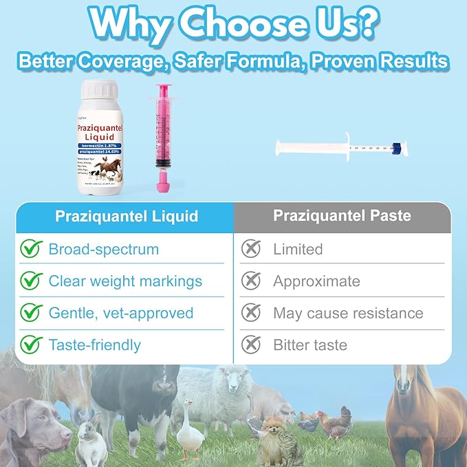 Praziquantel for Horse, Dewormer for Horse, Dogs, Cats, Poultry & More, 14.03% Praziquantel for All Worms, Tapeworms, Roundworms & Hookworms, 100 mL