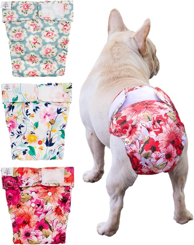 CuteBone Washable Dog Diapers Female No Tail Hole 3 Pack Reusable Doggie Period Training Pants for Docked-Tail Frenchie French Bulldog Boston Terrier Without Tail WWD02XL