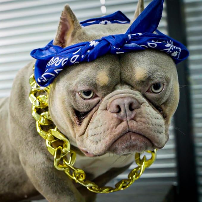 2Pack Dog Costume Set, Adjustable Gold Plated Dog Chain Collar and Headband Hip Hop Square Satin Head Scarf Head Cover Apparel Party Costume Cosplay Accessories for Medium Large Dogs(Blue)