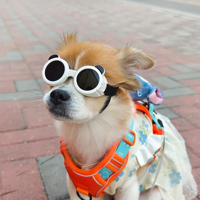 Enjoying Dog Goggles Extra-Small to Small Breeds, Dog Sunglasses UV Protection, Driving Eye Protection for Little Dogs, Breathable Windproof Dustproof Anti-Fog, Adjustable Straps, Panda White