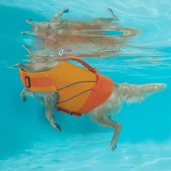 Queenmore Dog Life Jacket with Front Float, Adjustable Ripstop Dog Life Vest for Swimming Boating, Pet Lifesaver with Rescue Handle, Enhanced Buoyancy Cat Pool Float (Orange,L)