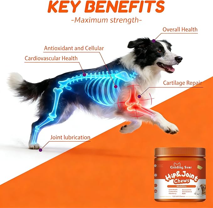 Hip and Joint Supplement for Dogs Glucosamine for Dogs, Mobility, Flexibility & Comfort Support, Hip and Joint Supplement with Chondroitin, MSM, Vitamins C & E, 120 Chews Chicken Flavored