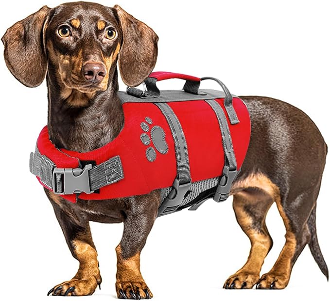 Queenmore Large Dog Life Jacket, Dog Life Vest for Swimming, Floating Life Vest for Large Breed with Handle, Vibrant Doggie Life Jacket for Boating with Hook, Pet Water Lifesaver for Big Dogs