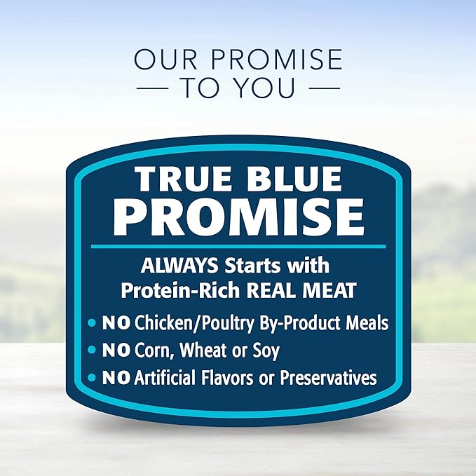 Blue Buffalo Life Protection Formula Natural Senior Dog Food Bundle, Dry Dog Food and Wet Dog Food, Chicken (30-lb Dry Food + 12.5oz cans 12ct)