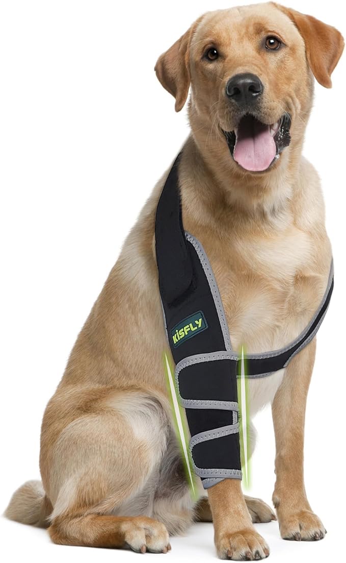 Dog Elbow Brace Protector for Front Leg, Provides Elbow & Shoulder Support, Helps Reduce Calluses, Pressure Sores & Hygroma, Prevents Licking, Reflective Design, Right Leg, Size M