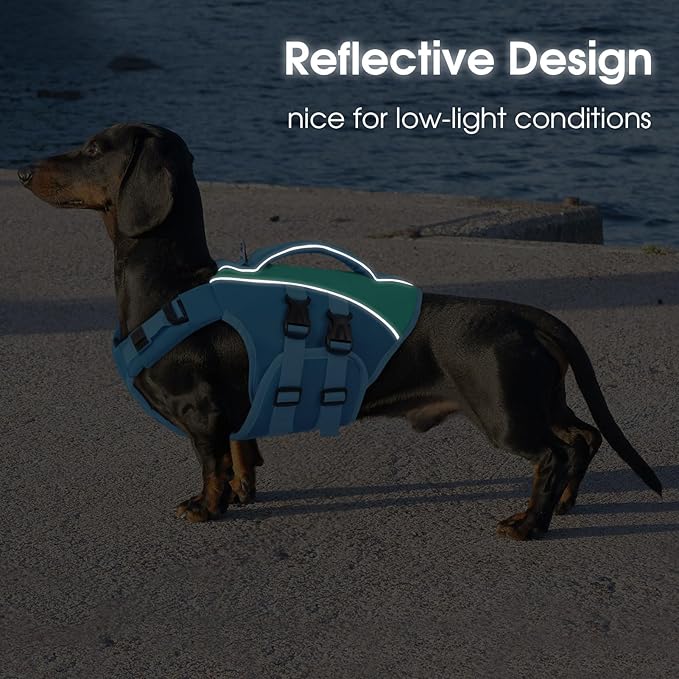 Queenmore Dog Life Jacket, Adjustable Ripstop Dog Life Vest for Swimming Boating, Pet Lifesaver with Superior Buoyancy and Rescue Handle, Pet Swimming Safety Vest(Blue,L)