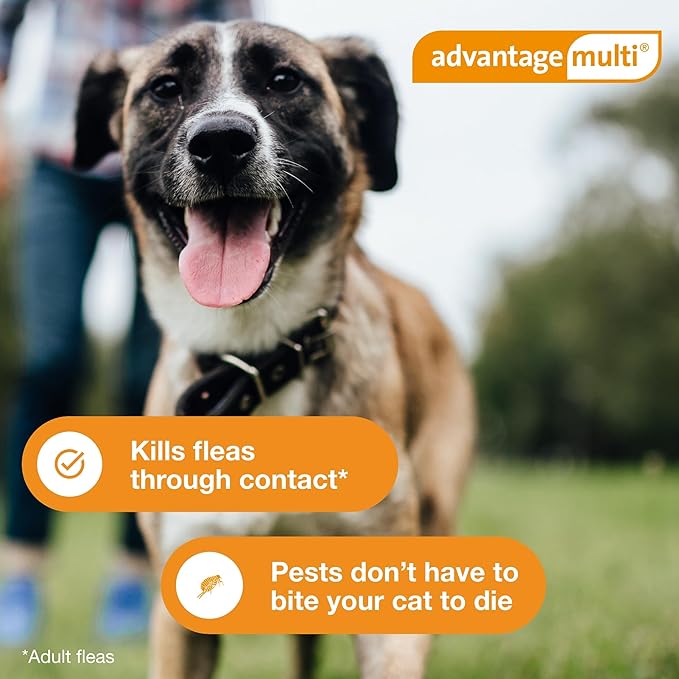 Advantage Multi Topical Solution for Dogs 6 Doses, 88.1-110 lbs (Brown)
