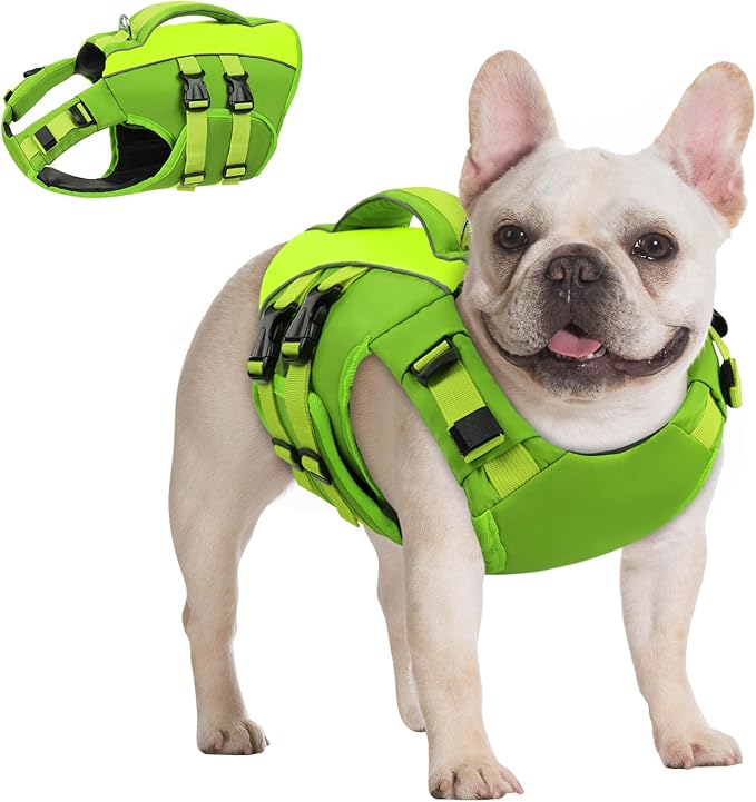 Queenmore Small Dog Life Jacket,Small Dog Life Vest for Swimming,Adjustable Reflective Dogs Swimming Vest,High Buoyancy Dogs Lifesaver,Pet Life Preserver(Green,S)