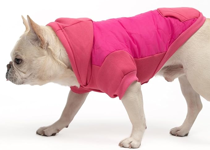 KOOLTAIL Warm Dog Winter Coat for Small Dogs, Waterproof Puppy Jacket with Leash Hole, Cold Weather Pet Vest for Winter, Soft Hoodie Sweater Sweatshirt Clothes for Puppy Cats Girls Boys Rose Red L