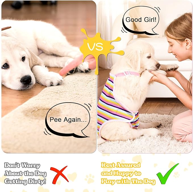 Nuanchu 3 Pcs Female Dog Diaper Sanitary Panties with Adjustable Suspender, Washable Reusable Doggie Diapers for Small Medium Large Dog in Heat Period Menstrual Pet Cats Ducks(Rainbow Pattern,L)