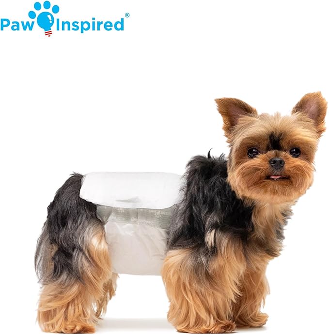Paw Inspired Disposable Male Dog Wraps, Belly Band for Dogs | Disposable Dog Diapers | Belly Bands for Male Dogs (12 Count, X-Small)