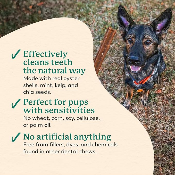 Dr. Harvey's Holistix Dental Chews for Dogs - Dog Teeth Cleaning & Fresh Breath Treats, Sweet Potato Mint (24 Sticks)
