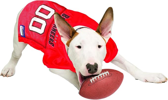 NFL Tampa Bay Buccaneers Dog Jersey - Small, Football Jersey Costume for Dogs