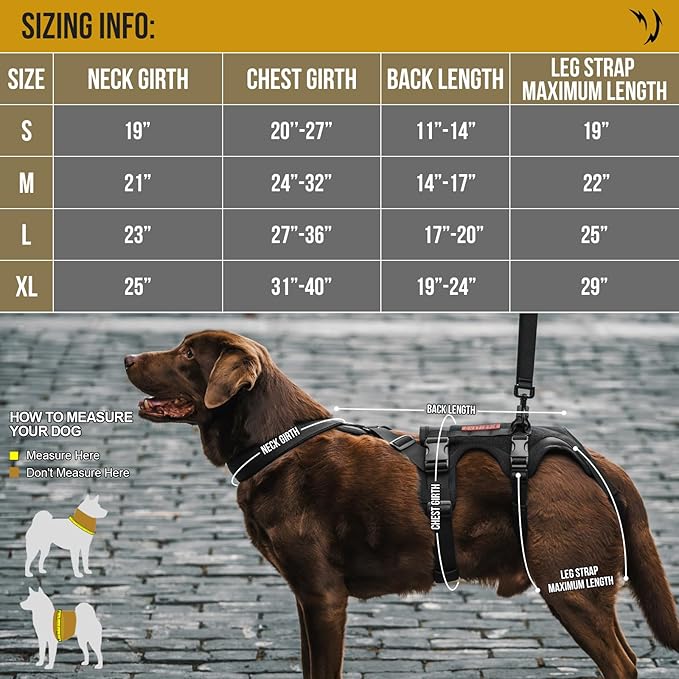 OneTigris Dog Support Harness for Back Legs, Dog Lift Sling for Large Dogs Hind Legs, Canine Dogs Hip Support Brace Ideal for Elderly Injured Arthritic Provides (Black, M)