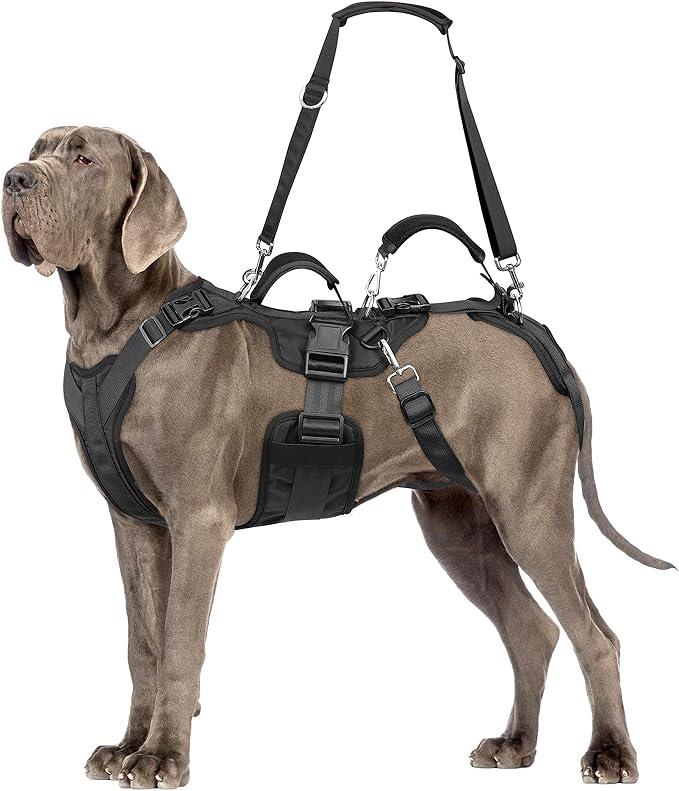 Dog Lift Harness, Dog Support & Recovery Sling for Full-Body & Hind/Front Leg – Pee-Able Design for Large/Medium Dogs – All-in-One Ideal Assistance for Senior, Disabled, Arthritic & ACL Canines (XXL)