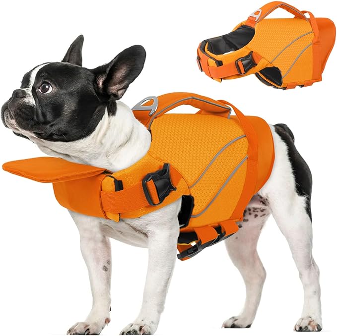 Queenmore Small Dog Life Jacket with Reflective Stripes, Adjustable Life Jacket for Small Dogs, Puppy Swimming Vest High Flotation, Puppy Life Jacket with Front Neck Float (Orange,S)