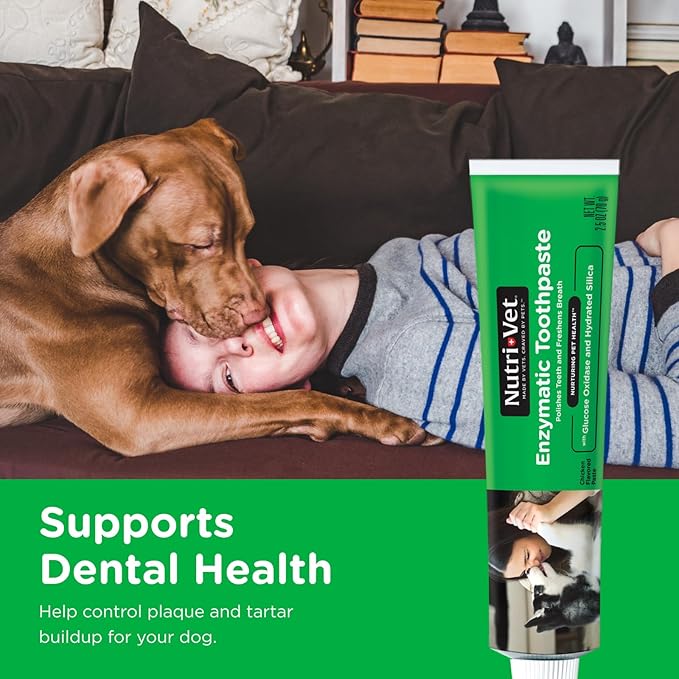 Nutri-Vet Enzymatic Dog Toothpaste, Plaque Remover for Teeth, Dog Breath Freshener, Tooth Whitening, Puppy Essentials, Made in the USA, Non-Foaming Chicken Flavor, 2.5 oz