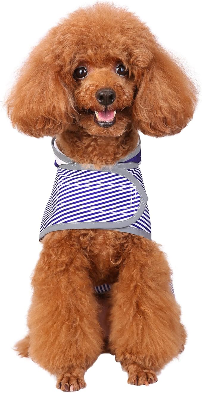 Dog Raincoat for Small Dogs Puppies Waterproof Jacket Hooded Rain Coats with Reflective Strips Leash Hole & Poncho Adjustable Fit (Bluestripe,S)