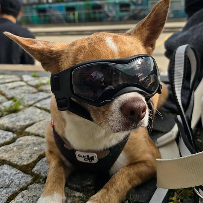 PETLESO Dog Goggles Small Breed, XS Dog Sunglasses Chihuahua Glasses Anti-UV Eyes Protection for XSmall Pets Tiny Dogs Cats, Black XS