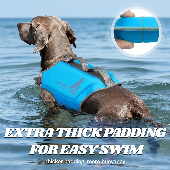 VIVAGLORY High Buoyancy Dog Life Vest, Swimming Vest with Handle, Dog Life Jacket for Swimming & Boating, Buoyancy for Puppy Doggy, XL, Blue