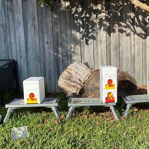 1set 4-Way Queen Bee Mating Nuc Box – 120kg/m³ High-Density EPS Insulated | Multi-Queen Rearing Complete Small Hive Kit for Beginner & Hobbyist Beekeepers