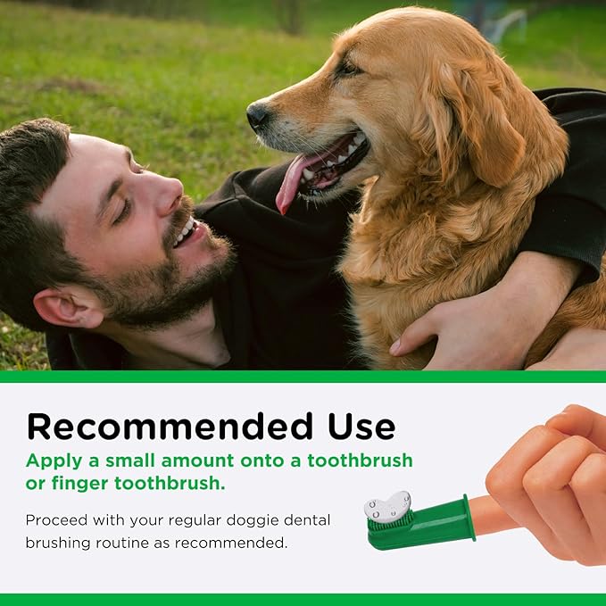 Nutri-Vet Enzymatic Dog Toothpaste, Plaque Remover for Teeth, Dog Breath Freshener, Tooth Whitening, Puppy Essentials, Made in the USA, Non-Foaming Chicken Flavor, 2.5 oz