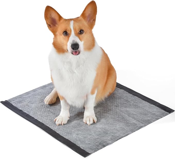 Glad for Pets Dual Action Freshness Activated Carbon Puppy Training Pads with Fragrance Release, Scented Pee Pads, Ultra Absorbent, Odor Control, 23"x23" 30ct - 6 Pack