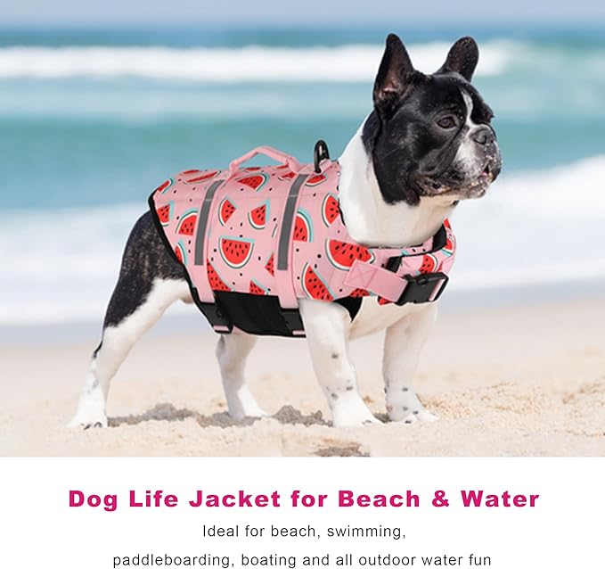 Doglay Dog Life Jacket, Dog Life Vest for Swimming Boating, Adjustable Puppy Life Jacket with Reflective Stripes, Superior Buoyancy Pet Swimming Vest for Small Medium and Large Dogs