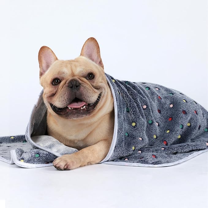 Luciphia 1 Pack 3 Blankets Super Soft Cute Dot Pattern Pet Blanket Flannel Throw for Dog Puppy Cat Small(23x16), Blue