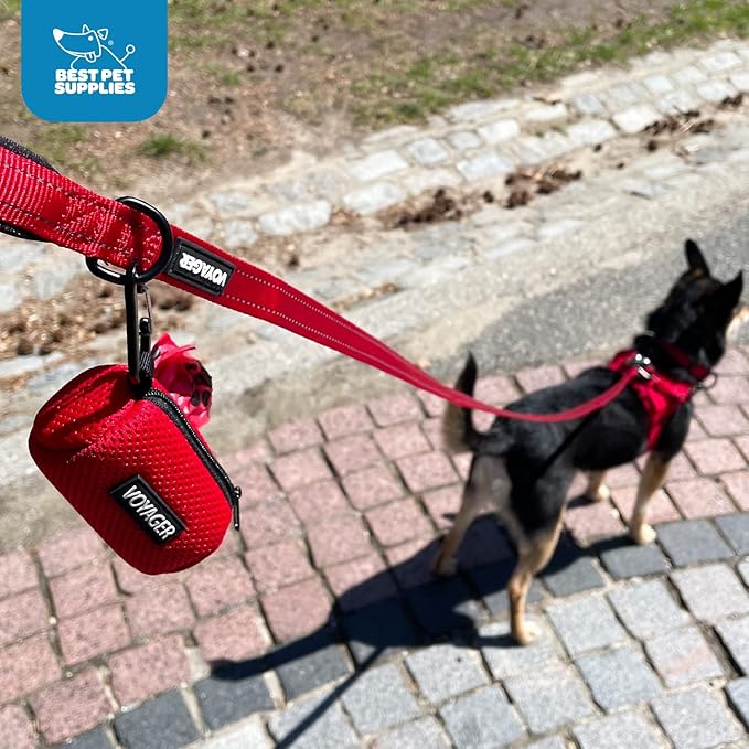Best Pet Supplies Dog Poop Bag Holder Leash Attachment with 15 Bags, Baby Blue, Reusable Mesh Dispenser Pouch for Travel, Walking, Park, and Outdoor Use, Soft and Durable with Clip-On