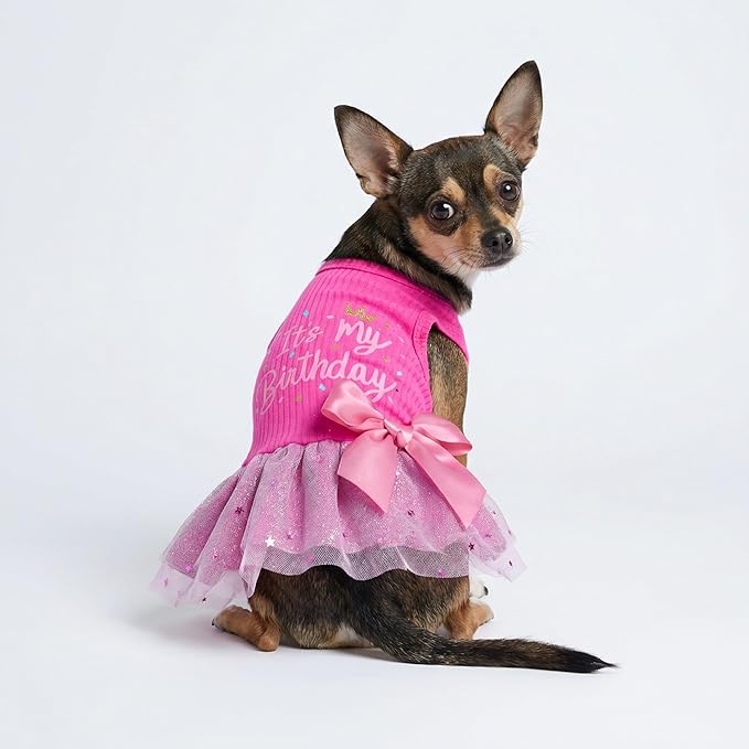 Fitwarm It's My Birthday Dog Dress, Dog Birthday Dress with Bowknot, Dog Clothes for Small Dog Girl, Funny Dog Clothes, Female Pet Outfit, Pink, Large