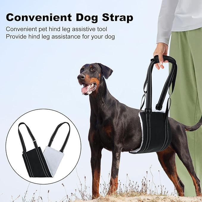 LARGE DOG HIND LEG SUPPORT SLING - Adjustable Dog Lift Harness for Senior, Injured, or Post-ACL Surgery Rehabilitation (Small)