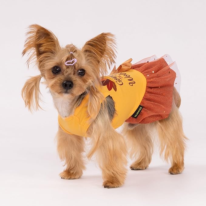Fitwarm Gobble 'til You Wobble Dog Dress, Funny Thanksgiving Outfit for Small Dogs Girl, Festive Pet Clothes, Yellow, Orange, Small