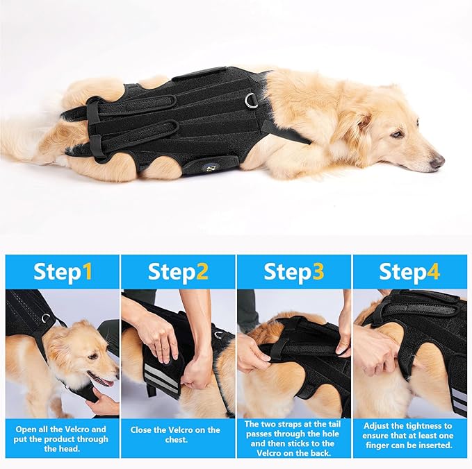 Coodeo Dog Back Brace for Dogs Arthritis, Pet Back Bracer for IVDD, Back Protector Helps Pain Relief, Surgical Recovery and Rehabilitation, Dogs Back Disease Prevention. (Black,XX-Large)