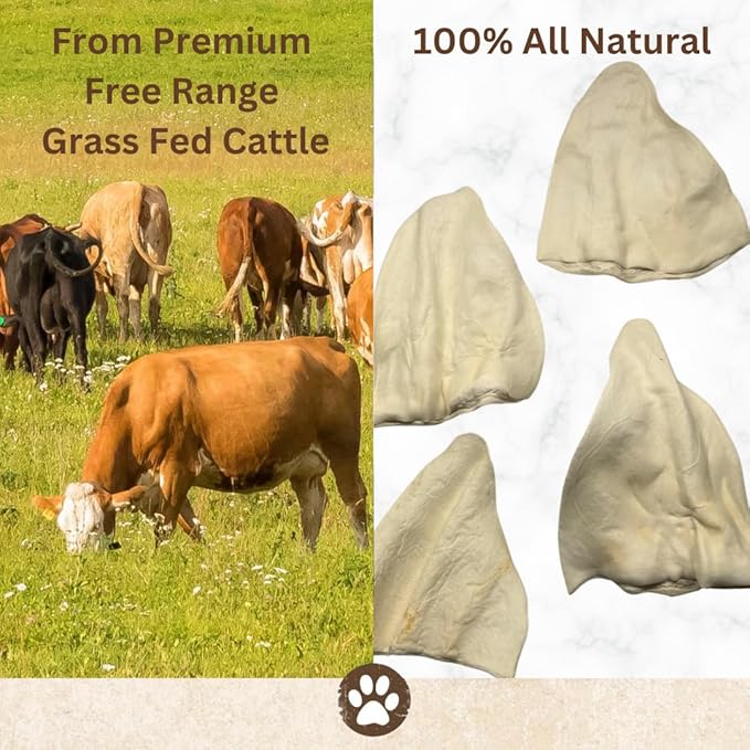 Top Dog Chews - Full Size, Thick Cut, Cow Ears Dog Treats, 100% All Natural, Rich in Protein and Flavor, Healthy & Delicious Chews, Rawhide Alternative (Pack of 10)
