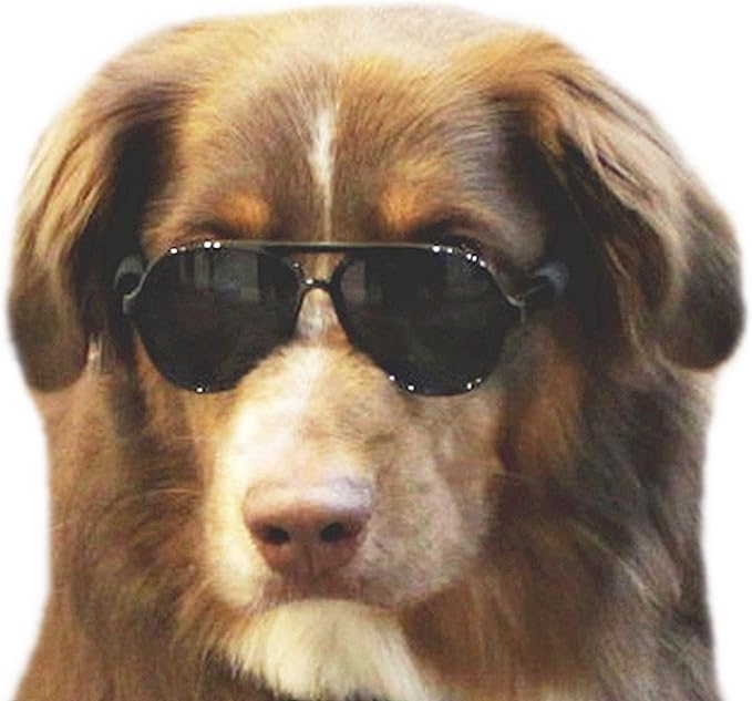 G010 Dog pet Costume Aviator Sunglasses for Medium Breeds 20-40 lbs (Black)
