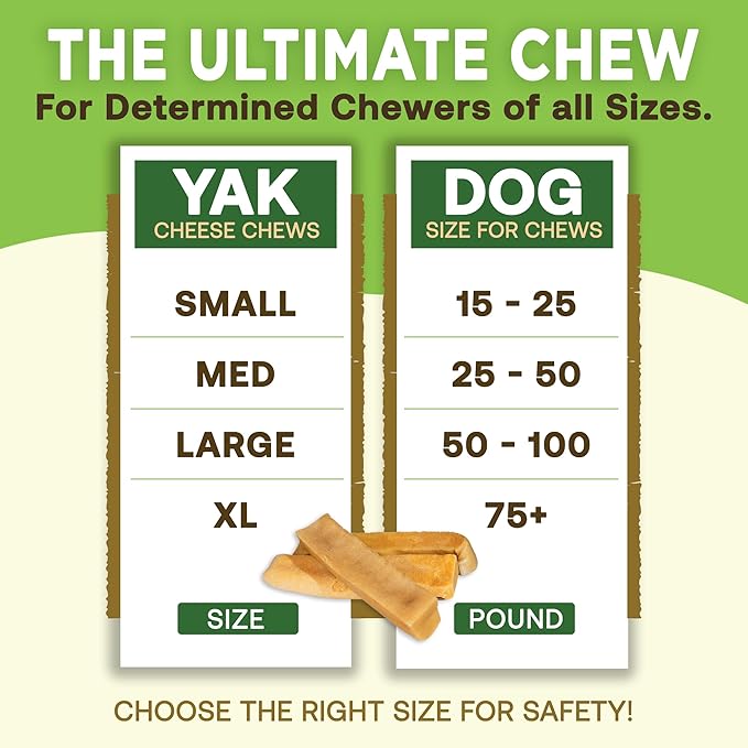 EcoKind Premium Gold Yak Cheese Himalayan Dog Chews, Healthy Dog Treats, Yak Chews for Small Dogs, All Natural, Long Lasting Dog Chew for Aggressive Chewers, High Protein Puppy Treat, Small - 16 Chews