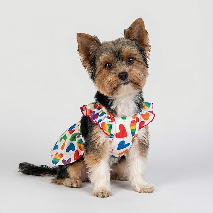 Fitwarm Colorful Heart Dog Dress, Summer Clothes for Small Dogs Girl, Cute Pet Rainbow Outfit, Red, Yellow, Blue, Green, White, Small