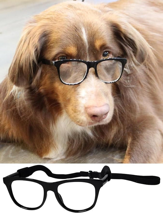 G003 Dog Glasses Medium Breeds 18-40lbs Pet Cat Retro Hipster Nerd Costume Prop Clear Lens (80s Black-Clear)