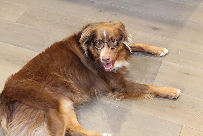 G003 Dog Pet Round Costume Prop Clear Lens Glasses Sunglasses Medium Breeds 18-40lbs (Black-Clear)